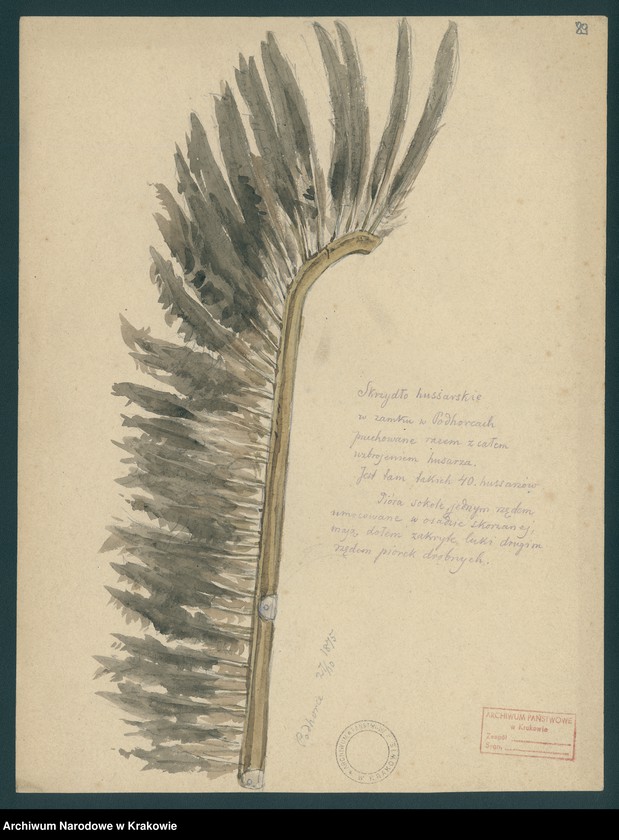 Obraz 10 z kolekcji "Militaria, mundury i elementy uzbrojenia w zbiorze Zygmunta Glogera111"