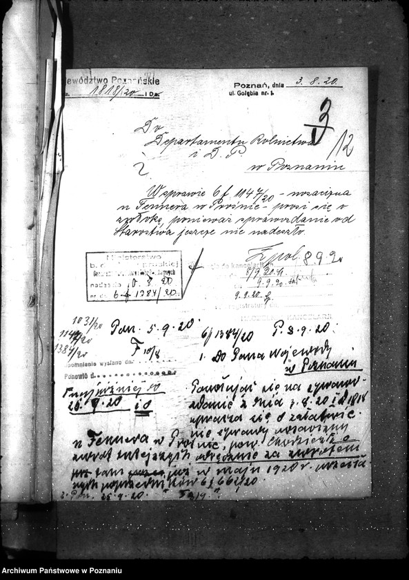 Obraz 17 z jednostki "Nosacizna - Chodzież"