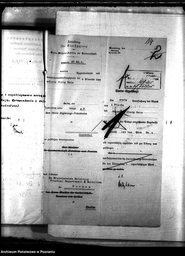 Obraz 18 z jednostki "Nosacizna - Żnin"