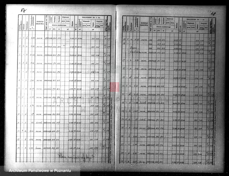 Obraz 16 z jednostki "Plan gospodarczy lasów Wydziału Wielichowo Teresy ks. Lubomirskiej na dziesięciolecie 1935/36-1944/45"