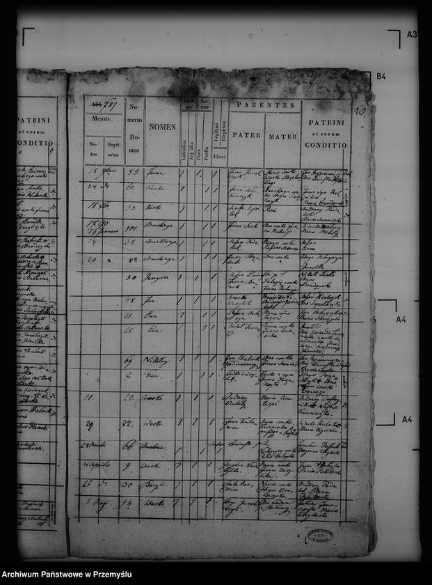 Obraz 14 z jednostki "[Kopie ksiąg metrykalnych parafii Trzcianiec (dekanat Bircza)]"