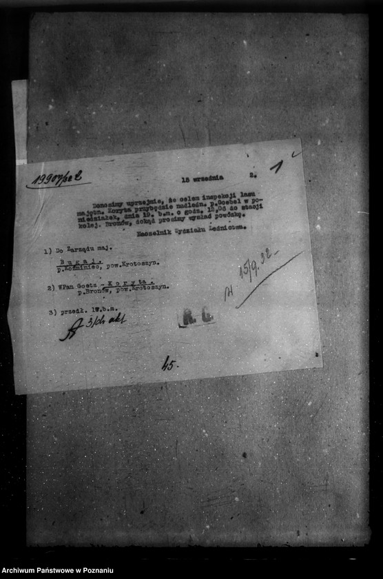 Obraz 5 z jednostki "/Majętność leśna Bugaj / powiat krotoszyński"