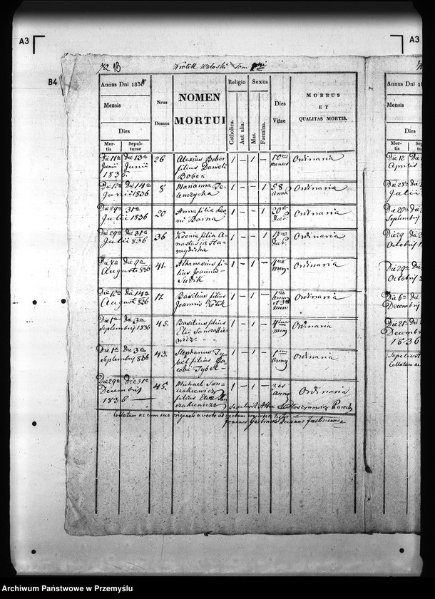 Obraz 18 z jednostki "[Kopie ksiąg metrykalnych parafii Królik Wołoski z filią Królik Polski (dekanat Rymanów)]"