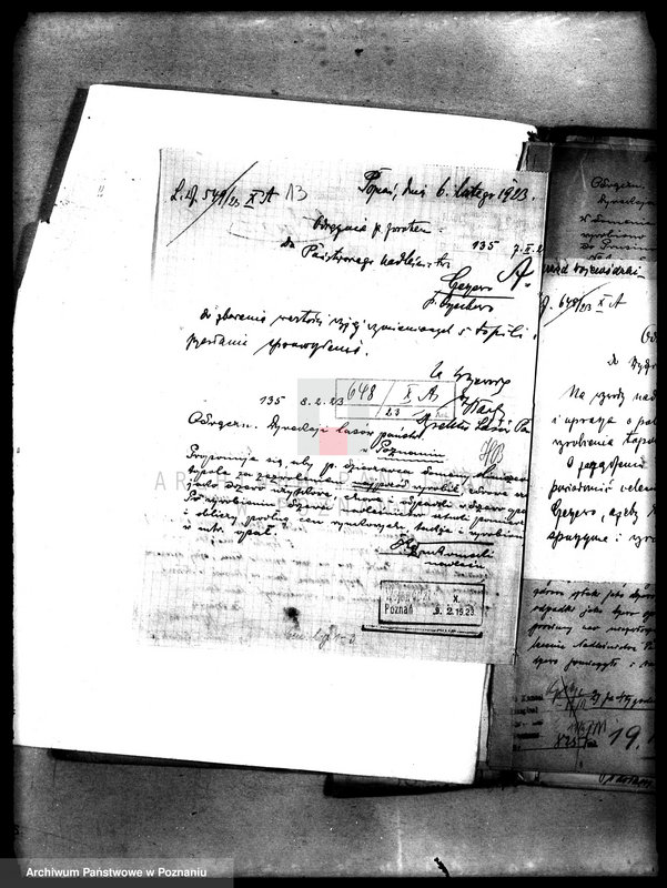 Obraz 17 z jednostki "Drzewostan w majętności państwowej Miniszew"