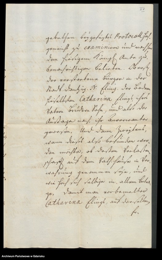 image.from.unit.number "Actum coram Officio […] Gabrielis a Boemeln Praeconsulis Senatoris, Praesidis Ac Insulae Stüblavensis Administratoris [27.III.1726-19.III.1727] Actum Gabrielis a Boemeln ac caducorum Administratoris [27.V.1726-3.II.1727] /2 indeksy/"