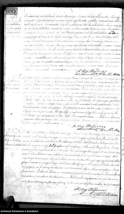 Obraz 7 z jednostki "D.L. P. Metel 1858"