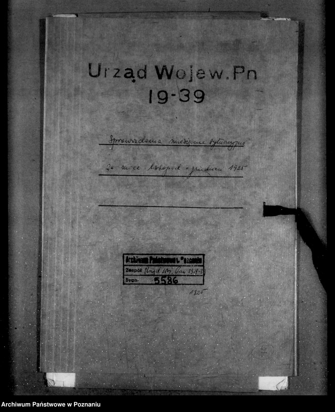 Obraz 4 z jednostki "Sprawozdania sytuacyjne miesięczne za miesiące listopad-grudzień 1925 r."