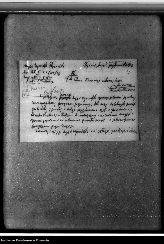 Obraz 11 z jednostki "Las majętności Dalabuszki powiat gostyński"