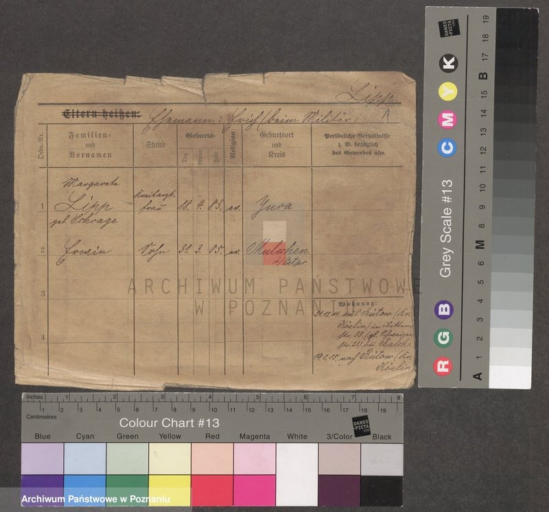 Obraz 1 z jednostki "Lip - Lipinski"