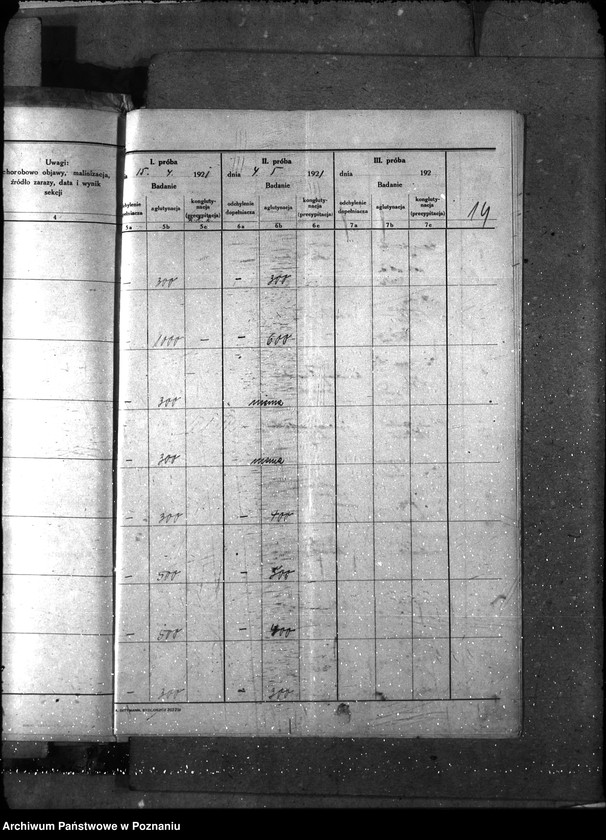 Obraz 18 z jednostki "Nosacizna - Czarnków"