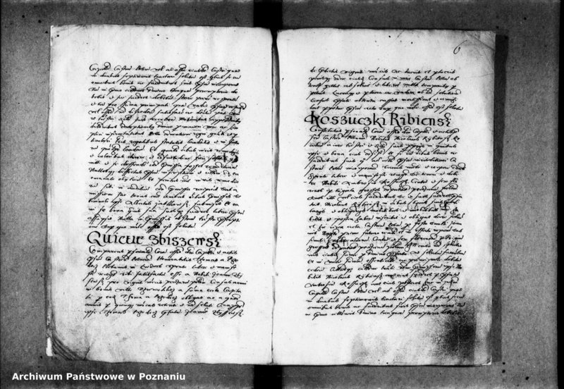 Obraz 11 z jednostki "Inscriptiones, relationes [inducta]"