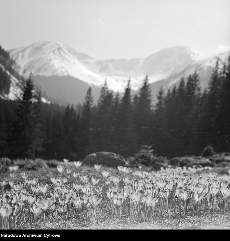 image.from.unit.number "Tatry"