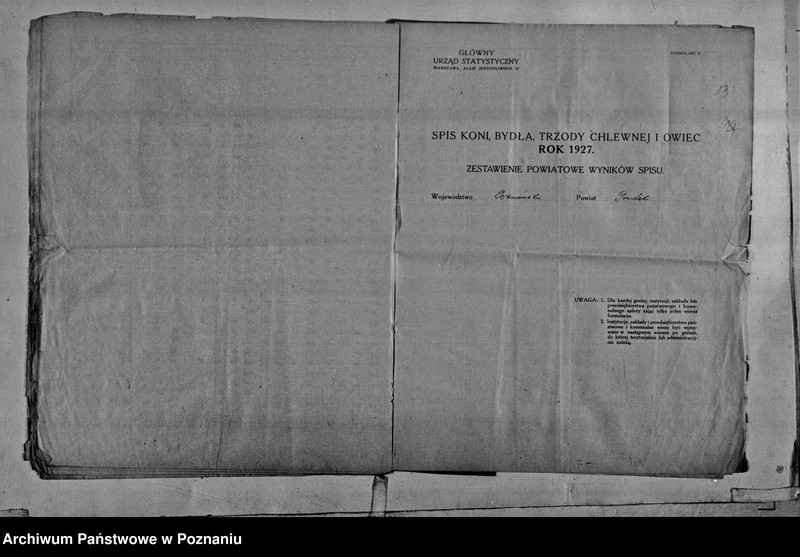 Obraz 16 z jednostki "Spis koni, bydła, trzody chlewnej i owiec - zestawienie z terenu powiatu średzkiego"