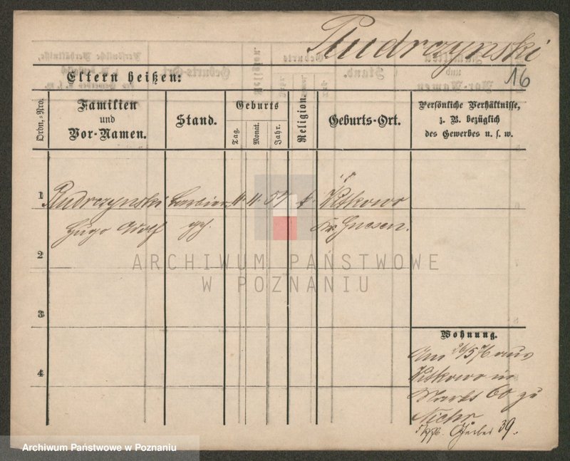 Obraz 16 z jednostki "Płudowski - Poczwardowski"