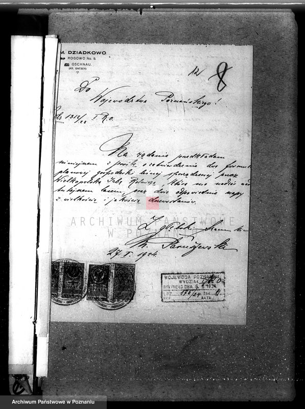 Obraz 16 z jednostki "Nadzór nad gospodarką w lasach majątku Dziadkowo powiecie gnieźnieńskim"