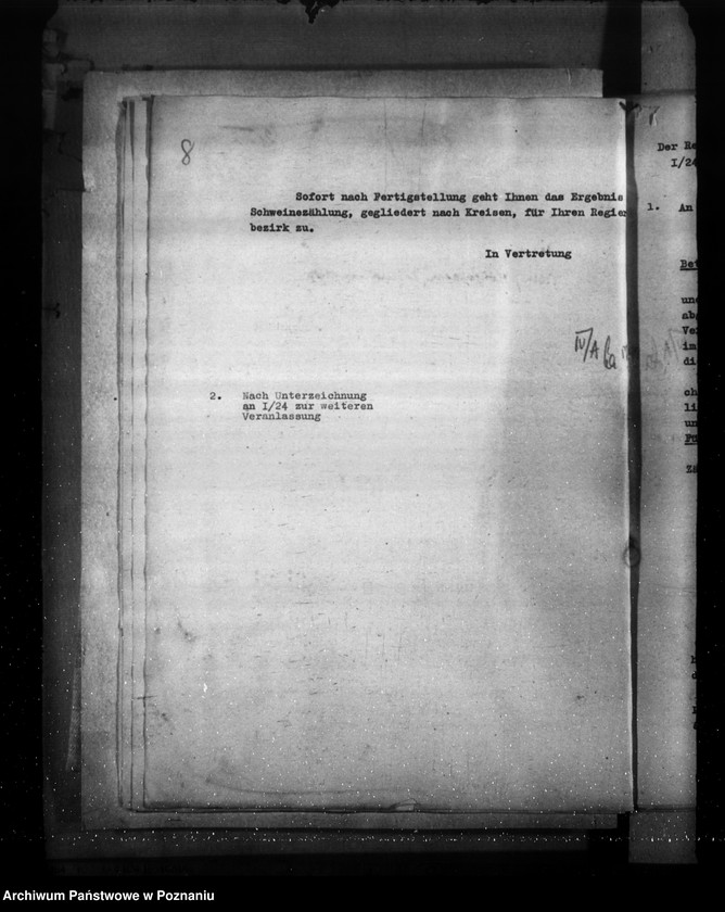 Obraz 12 z jednostki "Viehzählung (korespondencja, formularze)"