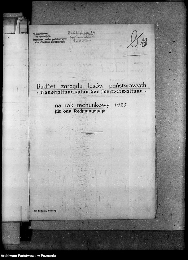Obraz 17 z jednostki "Budżet - leśnictwa rok 1921"