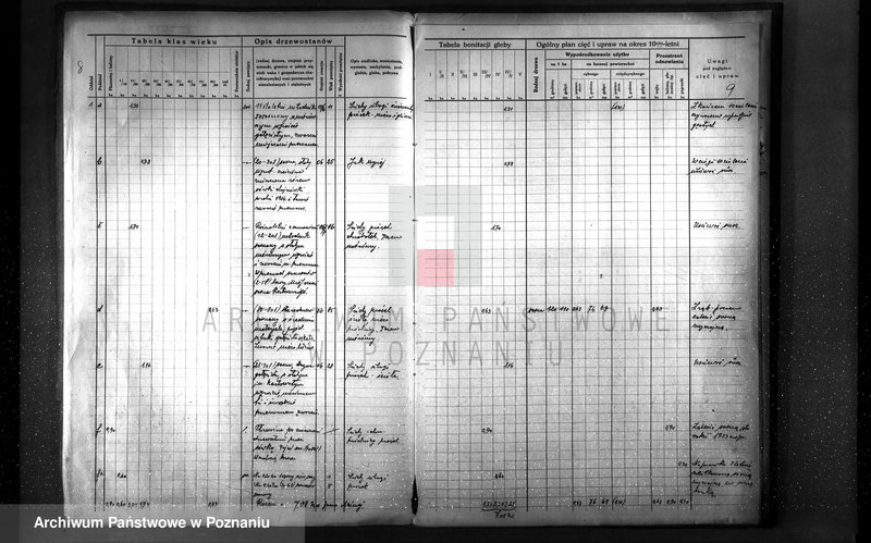 image.from.unit.number "Plan urządzenia gospodarstwa leśnego dla lasu majętności Otto Qiurama w gminie Piotrowo powiat szamotulski"