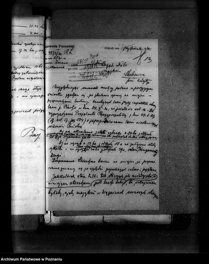 image.from.unit.number "Majętność leśna Chobienice powiat wolsztyński"