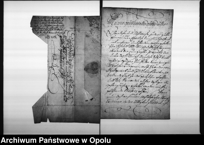 Obraz 9 z jednostki "Acta in Sachen der Fischer bey Oppeln wegen practendirten ausschliessenden Handels mit Fischen, hier in der Stadt Oppeln so wie die Auflösung des ganzen Fischermittels betreffend"