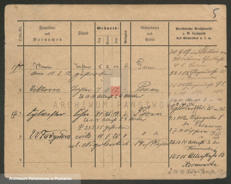 Obraz 5 z jednostki "Paluszkiewicz Pankow"