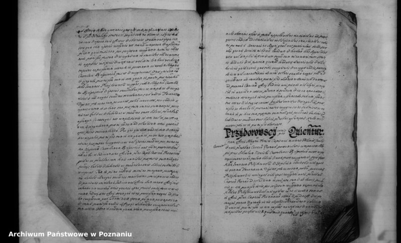 Obraz 6 z jednostki "Inscriptiones [inducta]"