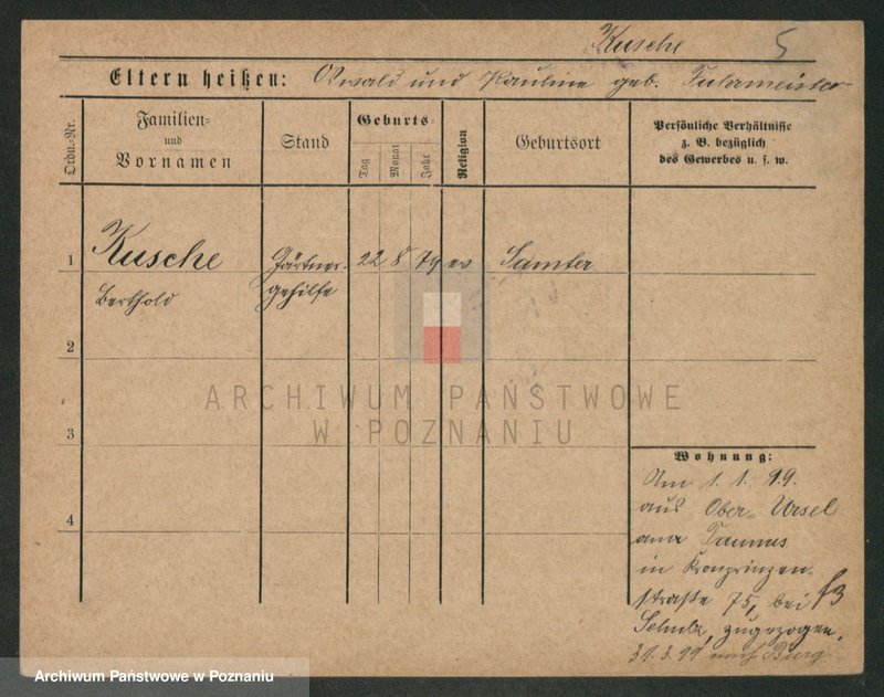 Obraz 5 z jednostki "Kusza - Kuźniarz"