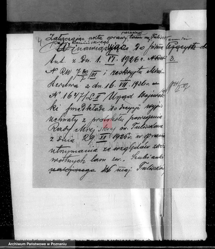 Obraz 7 z jednostki "Las miasta Tuliszkowo powiat koniński"