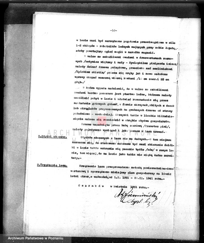 Obraz 15 z jednostki "/Nadzór nad gospodarką leśną gminy miasta Czarnkowa"