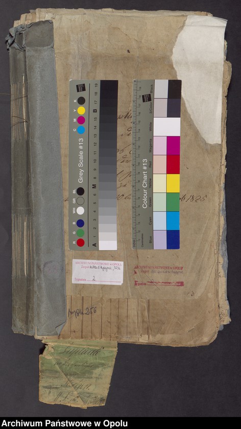 Obraz 2 z jednostki "[Parafia Rzymskokatolicka w Byczynie - księga ślubów z lat 1810-1840, 1842 oraz księga zgonów z lat 1819-1826, 1828-1842]"