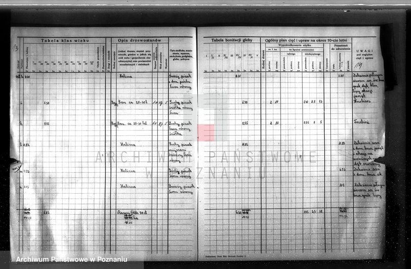 image.from.unit.number "Dodatkowy plan urządzenia gospodarstwa leśnego dla lasu ordynacji Obrzycko powiat szamotulski 1937-1938"