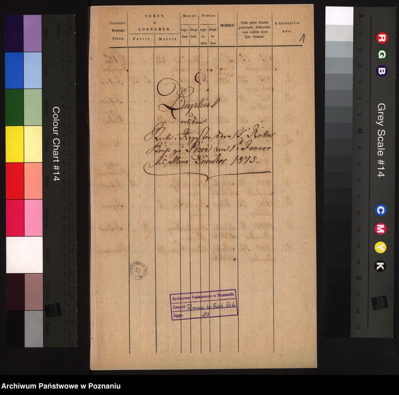 Obraz 3 z jednostki "Duplicat aus dem sterbe- Register"