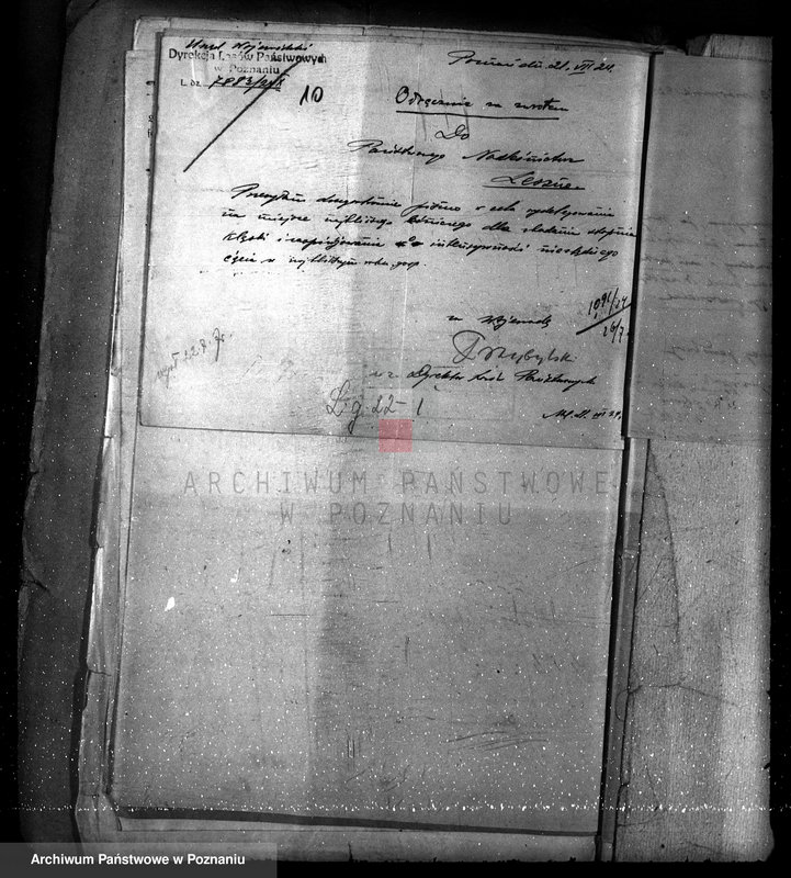 Obraz 14 z jednostki "Las parafialny kościoła w Radomicku powiat kościański"