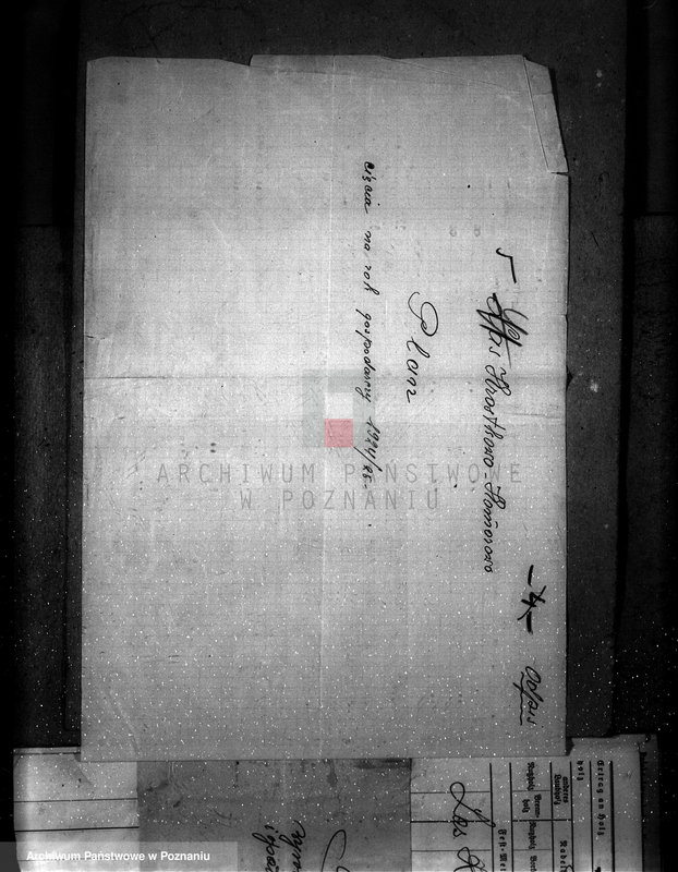 Obraz 9 z jednostki "Majętność leśna Komorowo powiat wyrzyski"