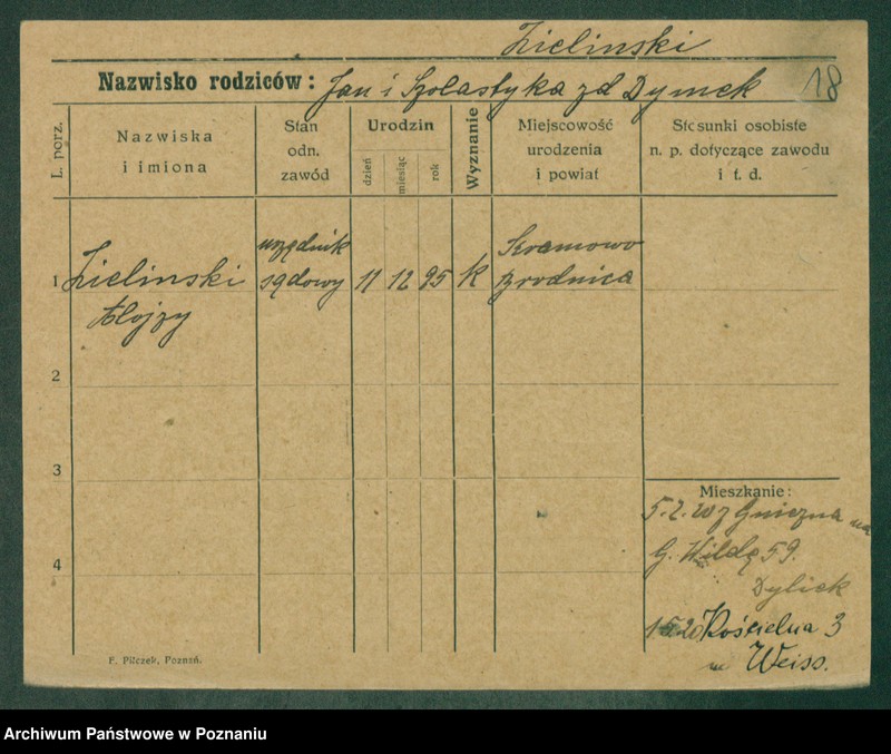 Obraz 20 z jednostki "Zielinski (samotni mężczyźni)"