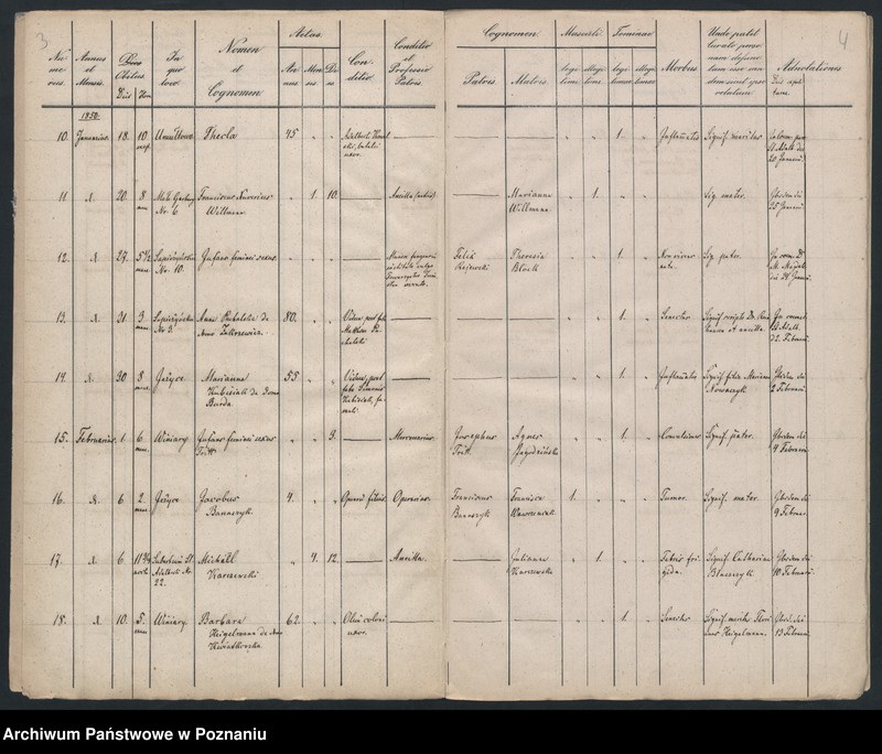 Obraz 4 z jednostki "Księga zgonów"