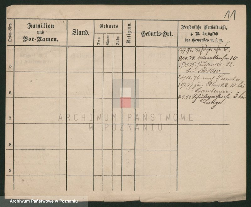 Obraz 11 z jednostki "Palecek - Paluszewski"