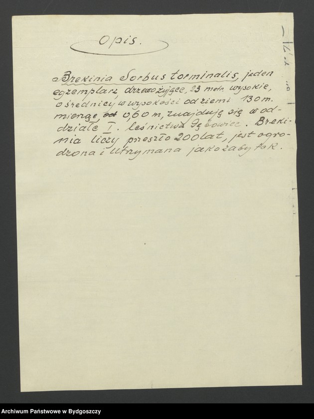 image.from.unit.number "Sprawy kultury i sztuki"