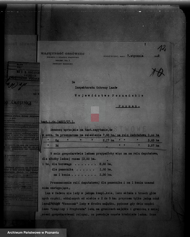 Obraz 16 z jednostki "Majętność /leśna Ossowiec/ powiat mogileński"