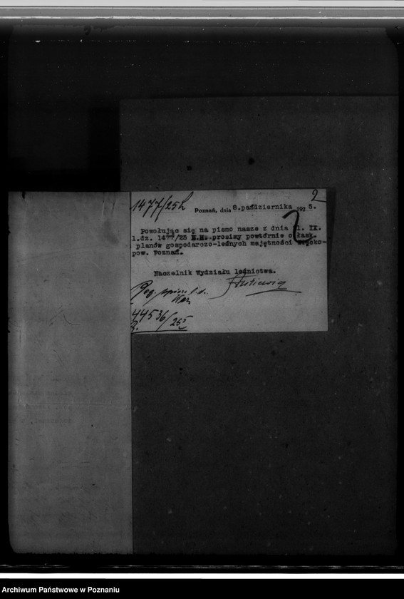 Obraz 6 z jednostki "Majętność leśna Więckowice powiat poznański"