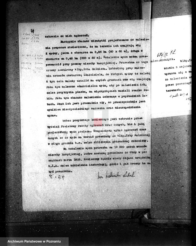 Obraz 11 z jednostki "Zalesienie nieużytków pod nadzorem Izby Rolniczej w powiecie wolsztyńskim"