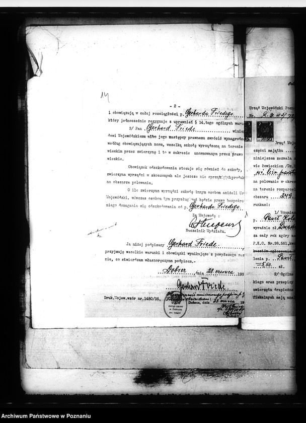 Obraz 20 z jednostki "Majętność Pyszczyn powiatu bydgoskiego wydzierżawienie polowania"