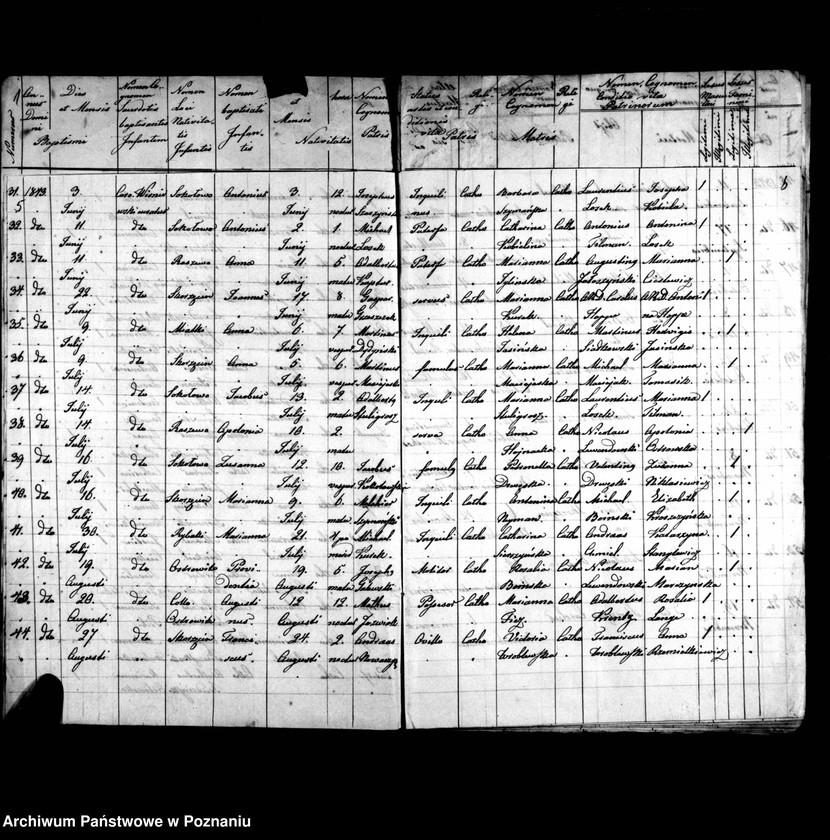 image.from.unit.number "Duplicatus baptisatorum, copulatorum, mortuorum"