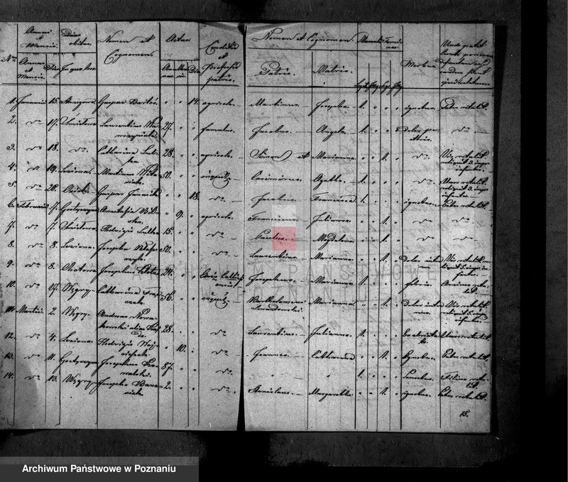 Obraz 2 z jednostki "Liber mortuorum"