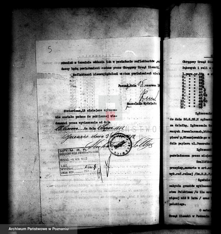 Obraz 9 z jednostki "Parcelacja majątku Jeżowo powiatu szubińskiego"