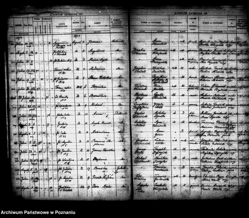 Obraz 17 z jednostki "Księga urodzin"