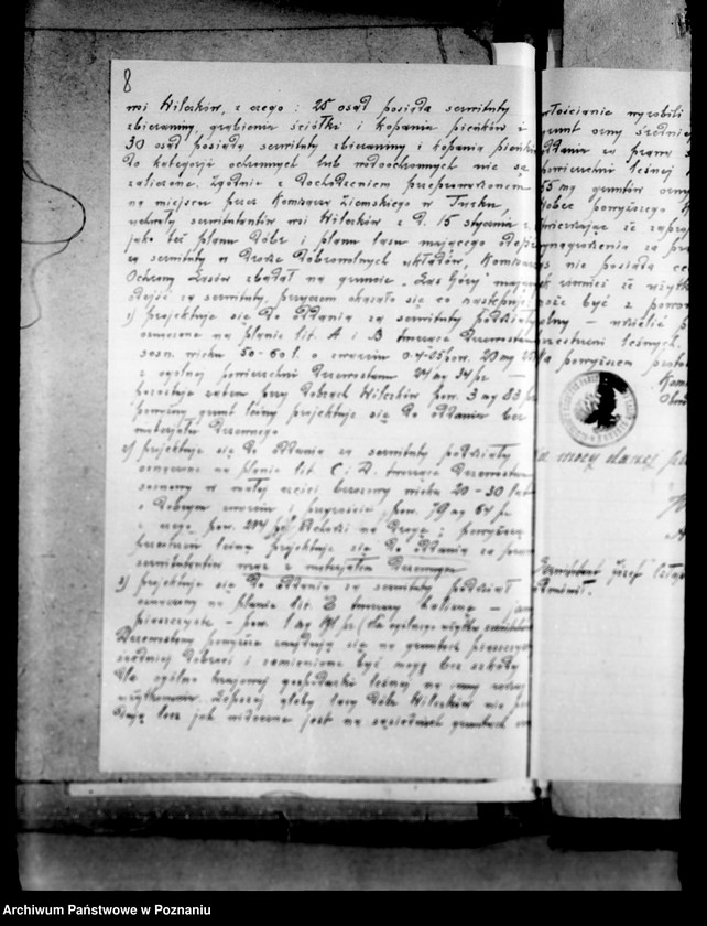 Obraz 12 z jednostki "Lustracja lasów majątku Wilczków powiat turecki"