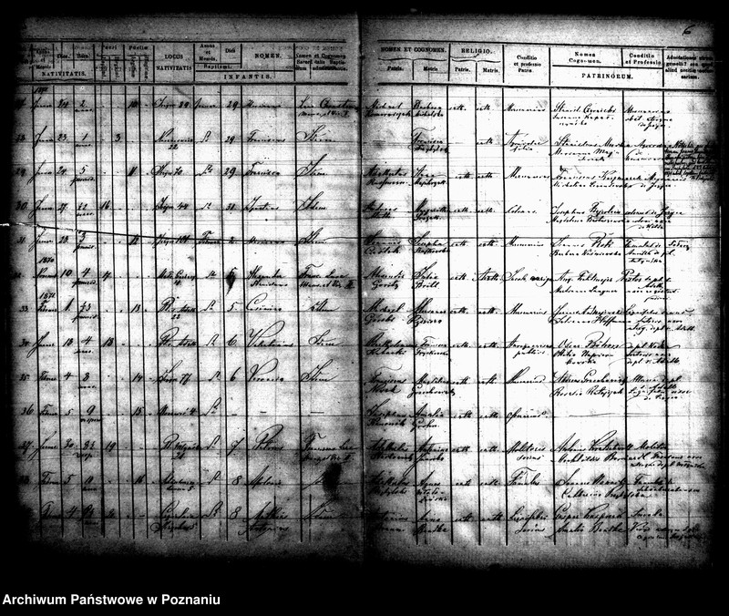 Obraz 5 z jednostki "Księga urodzin"