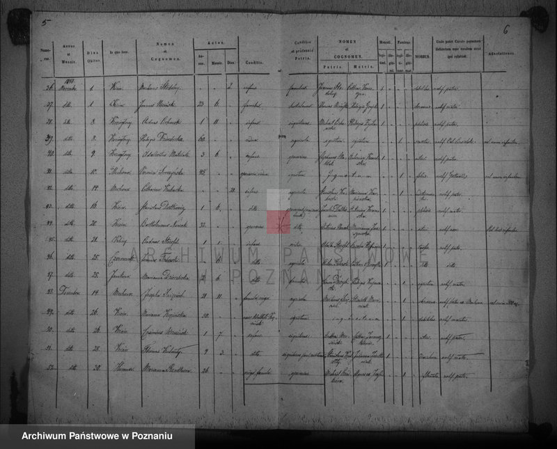 Obraz 6 z jednostki "Duplikat mortuorum"