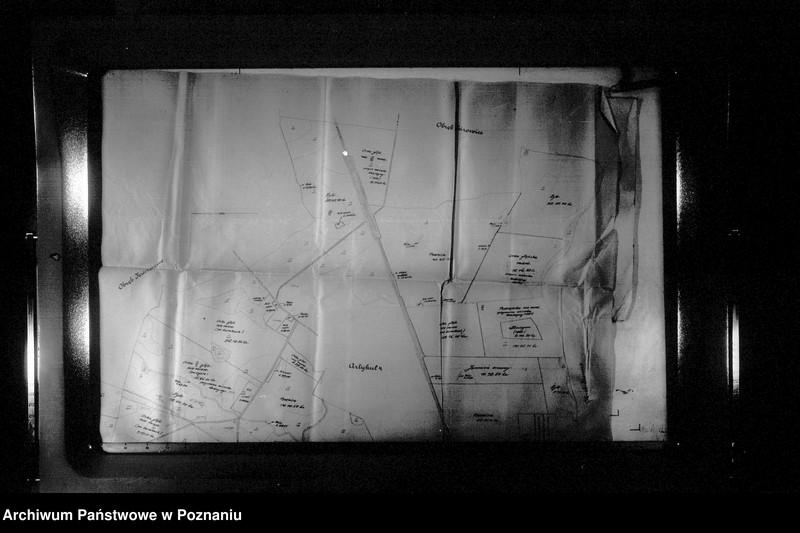 Obraz 14 z jednostki "Rejestr upraw i zasiewów dokonanych w jesieni 1935 r. w majątku Kotomierz powiatu bydgoskiego"